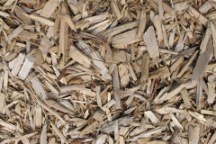 biomass boilers Henstridge